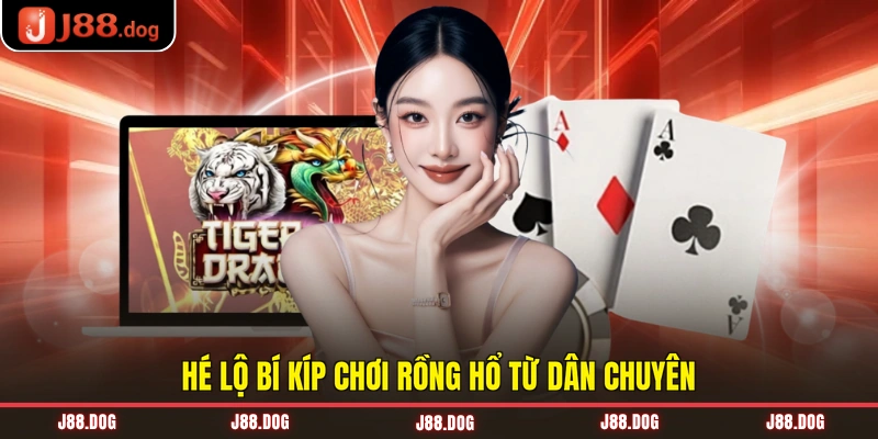 Hé lộ bí kíp chơi rồng hổ từ dân chuyên