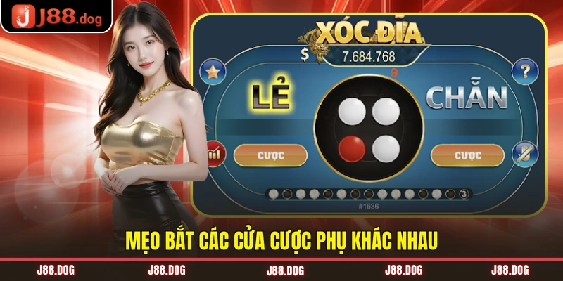 Mẹo bắt các cửa cược phụ khác nhau
