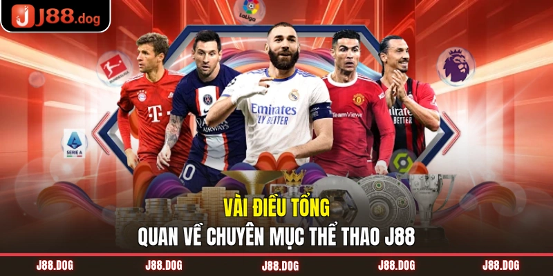 Vài điều tổng quan về chuyên mục thể thao J88 Vài điều tổng quan về chuyên mục thể thao J88